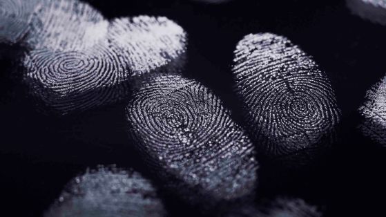 Finger Prints